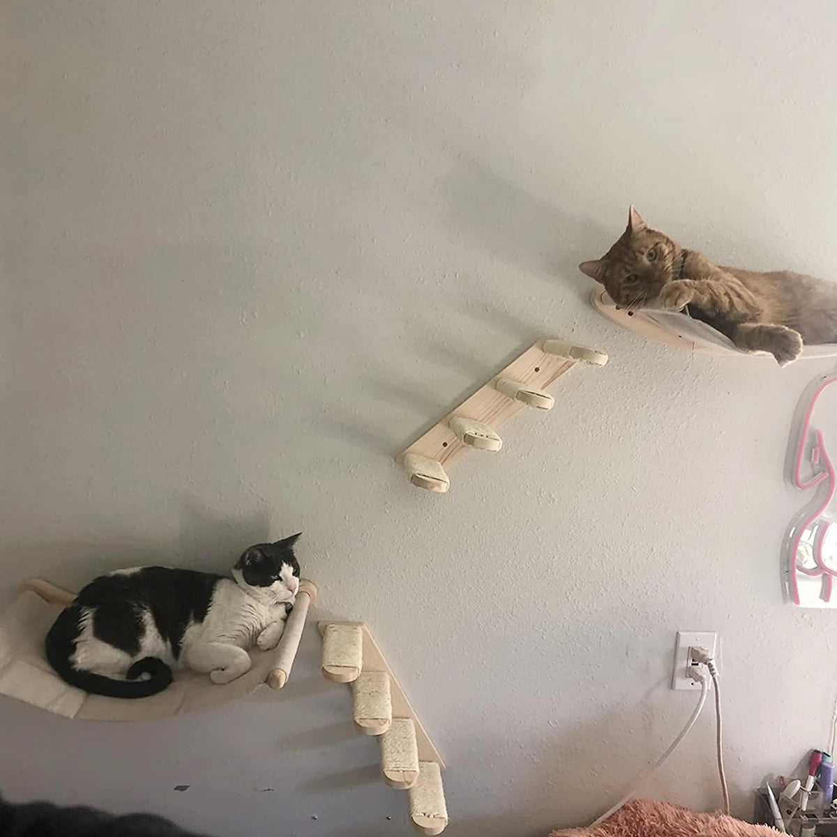 Cat Wall Climbing Shelf