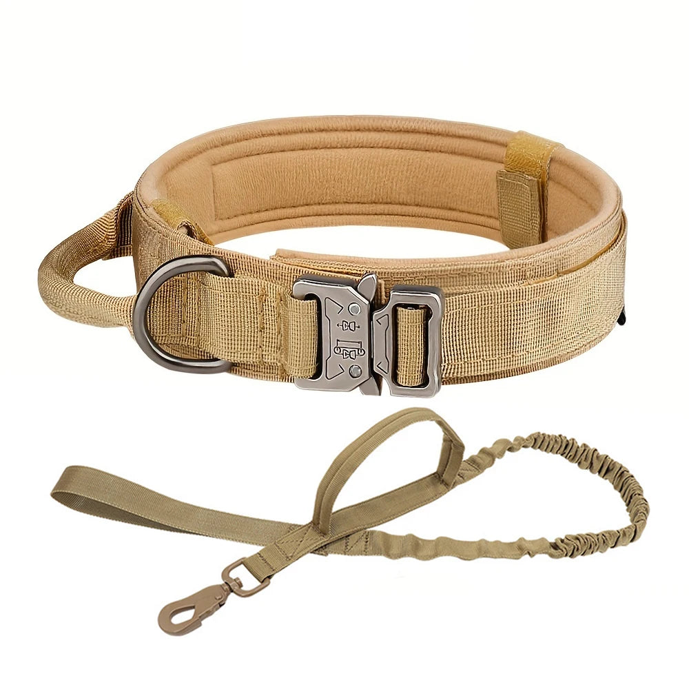 Dog Collar and Leash Set. - We Have the Goodies