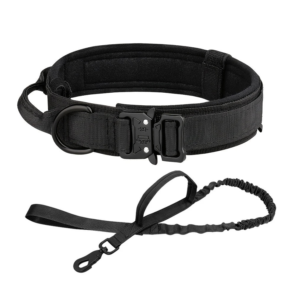 Dog Collar and Leash Set. - We Have the Goodies