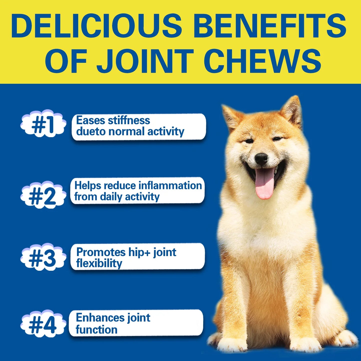 Dog Supplement for Arthritis Pain Relief - We Have the Goodies