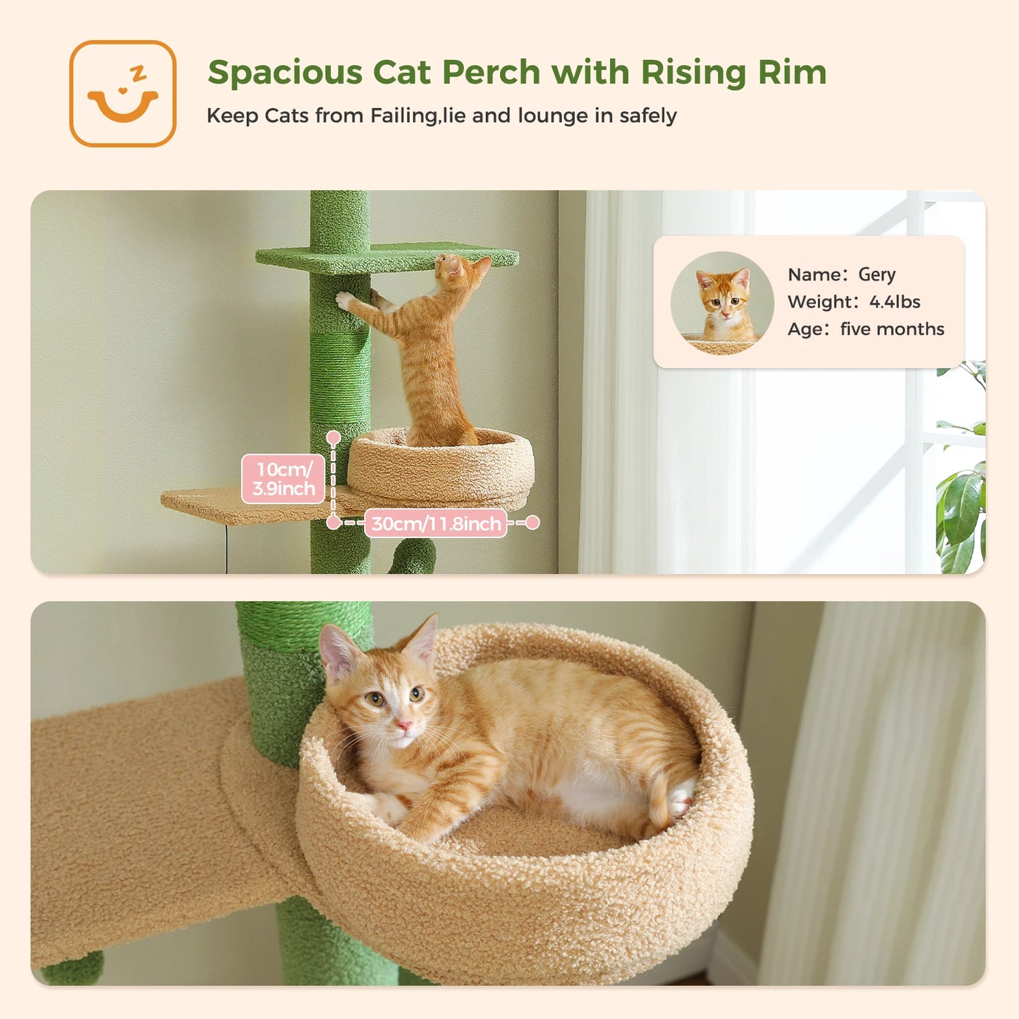 Adjustable Height Cactus Cat Tree