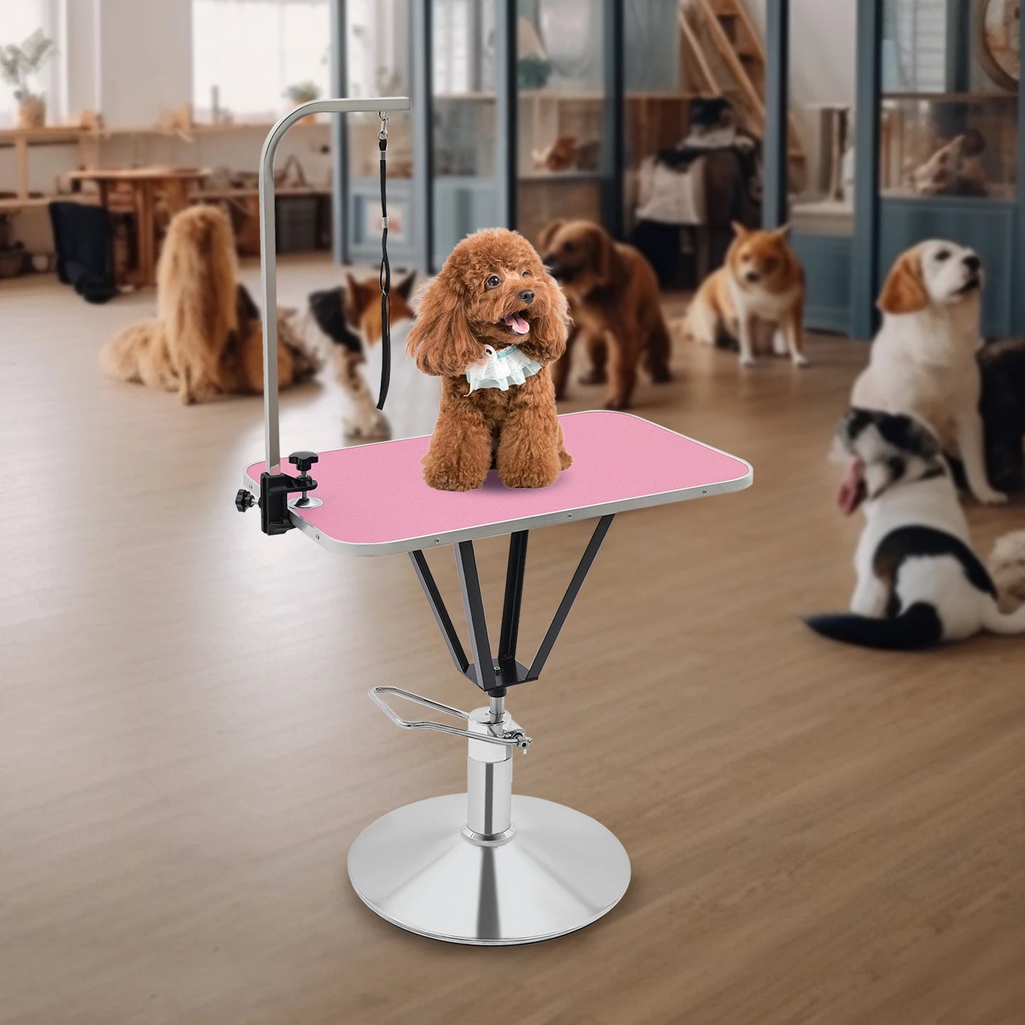 Pet Grooming Table - We Have the Goodies