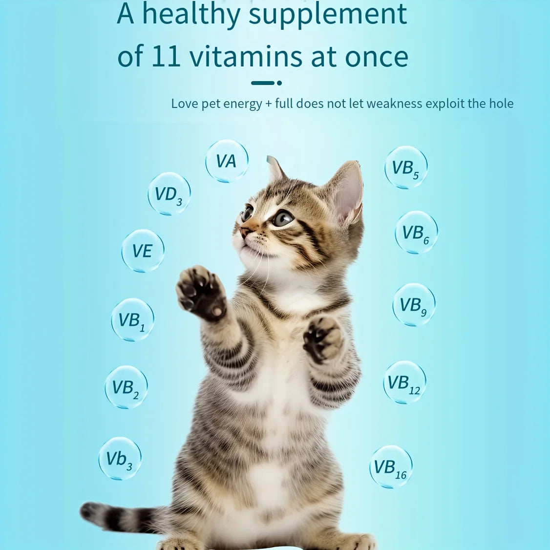 Pet Vitamins and Supplements - We Have the Goodies