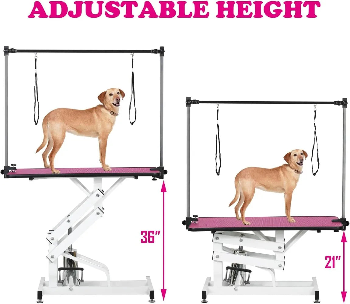 Pet Grooming Table - We Have the Goodies