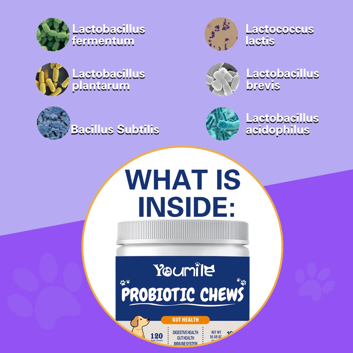 Dog Supplement for Arthritis Pain Relief - We Have the Goodies