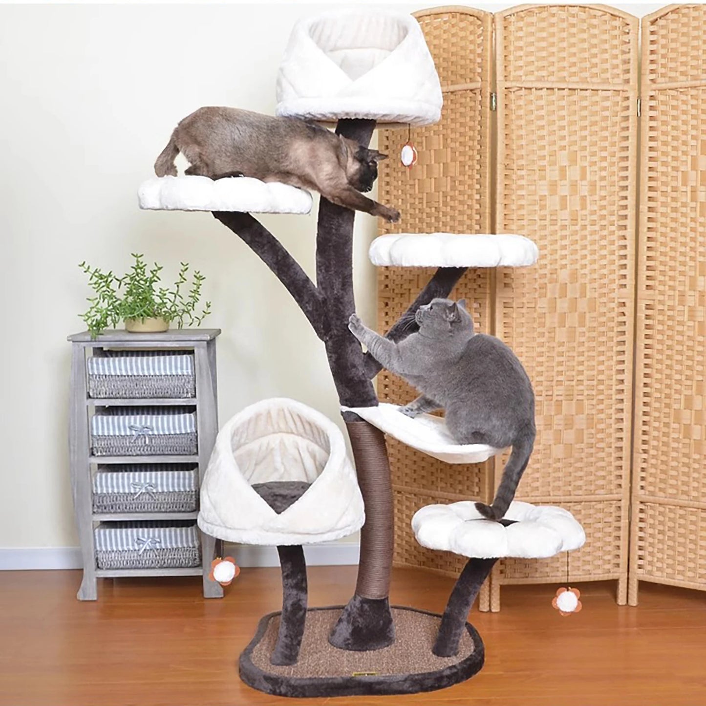 Cat Tree, Leaf-shape