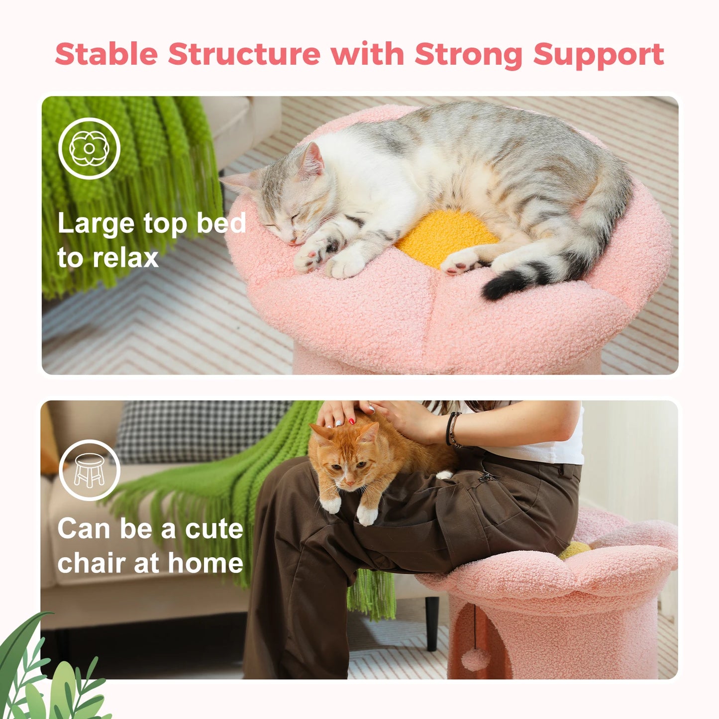 Cat Bed with removable flower bed - We Have the Goodies
