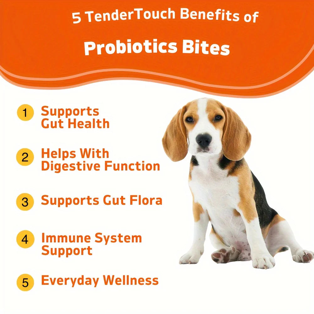 Dog Probiotics for Digestive Support - We Have the Goodies