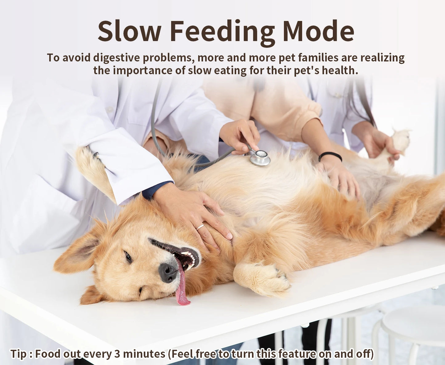 PAPIFEED Smart Automatic Pet Feeder. - We Have the Goodies