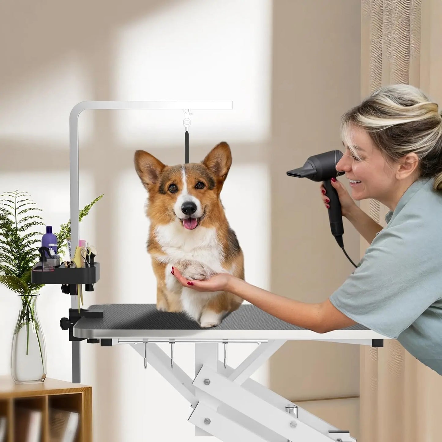 Hydraulic Pet Grooming Table 330LBS - We Have the Goodies