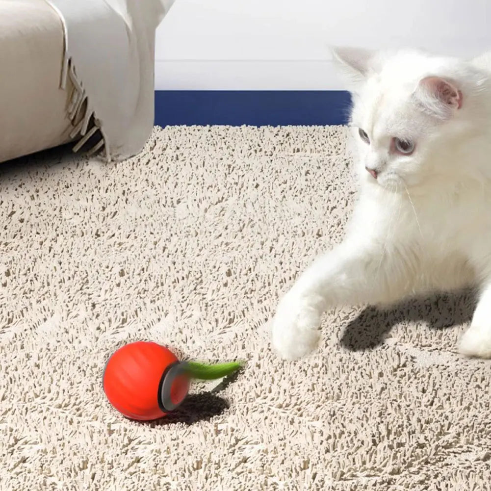 Automatic Moving Cat Toy Ball - We Have the Goodies