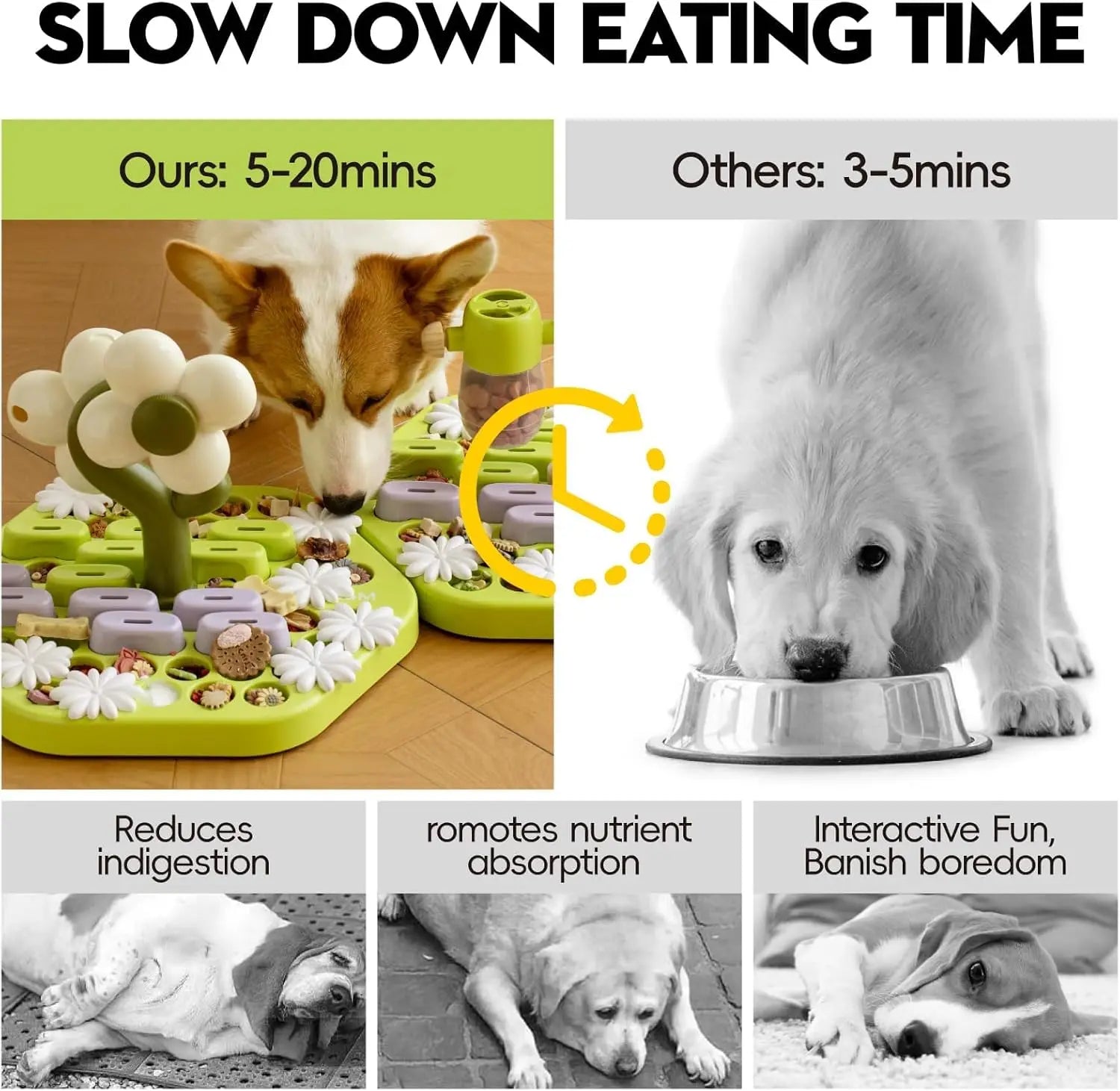 Level 4 Dog Puzzle Toy - We Have the Goodies 