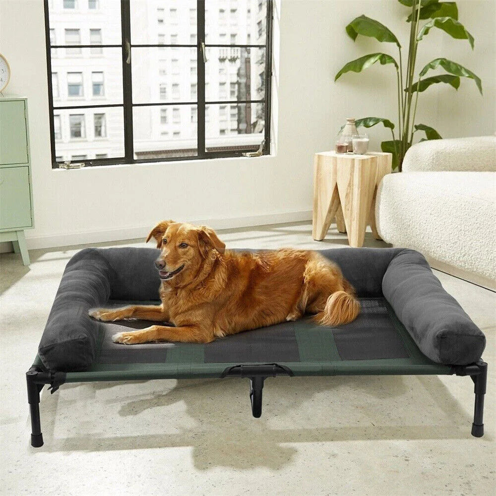 Raised Dog Bed - We Have the Goodies 