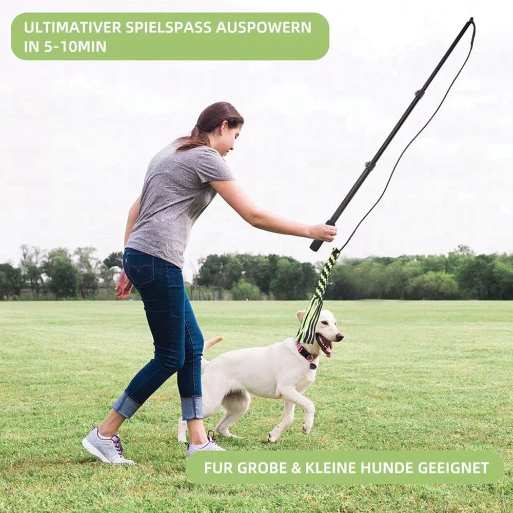 Pole Dog Chew Toy - We Have the Goodies 