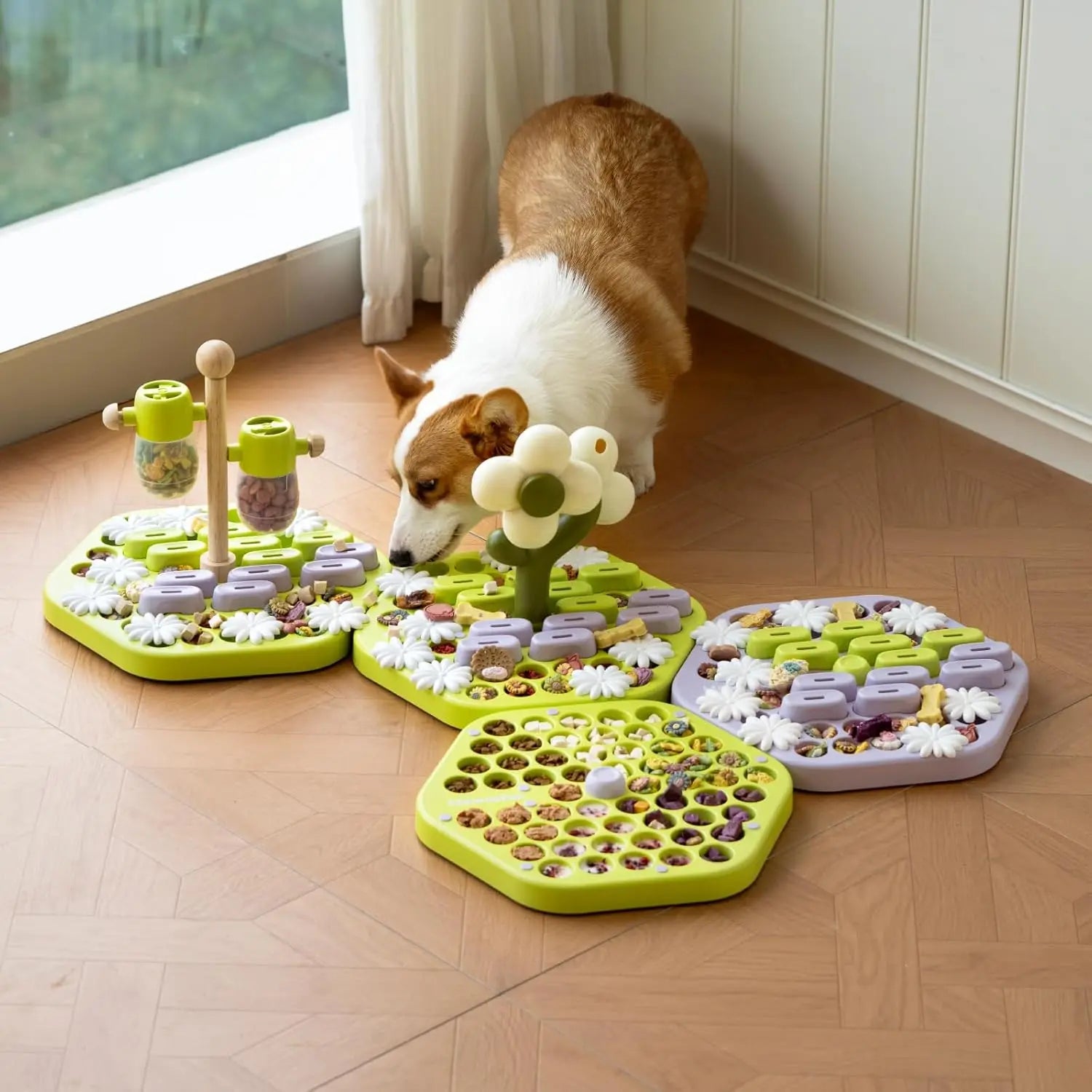 Level 4 Dog Puzzle Toy - We Have the Goodies 