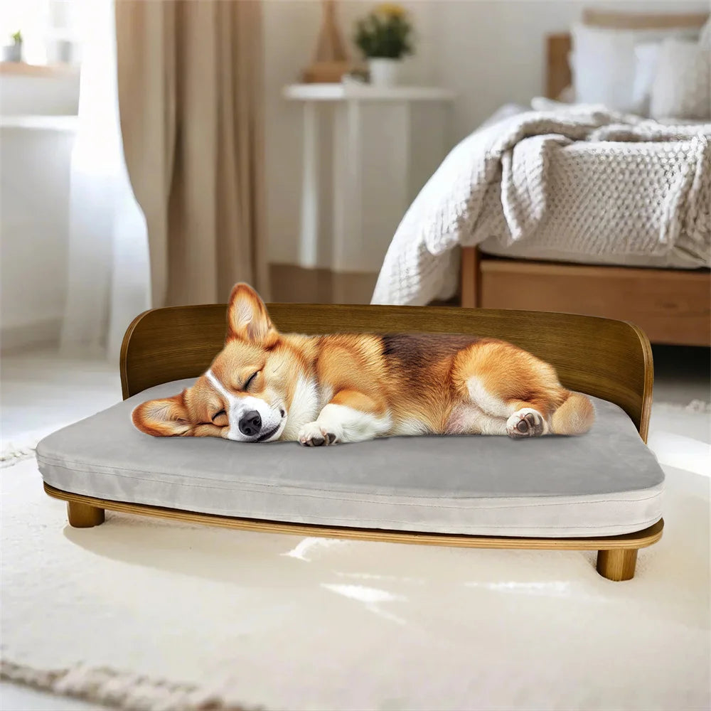 Elevated Pet Bed Sofa - We Have the Goodies 