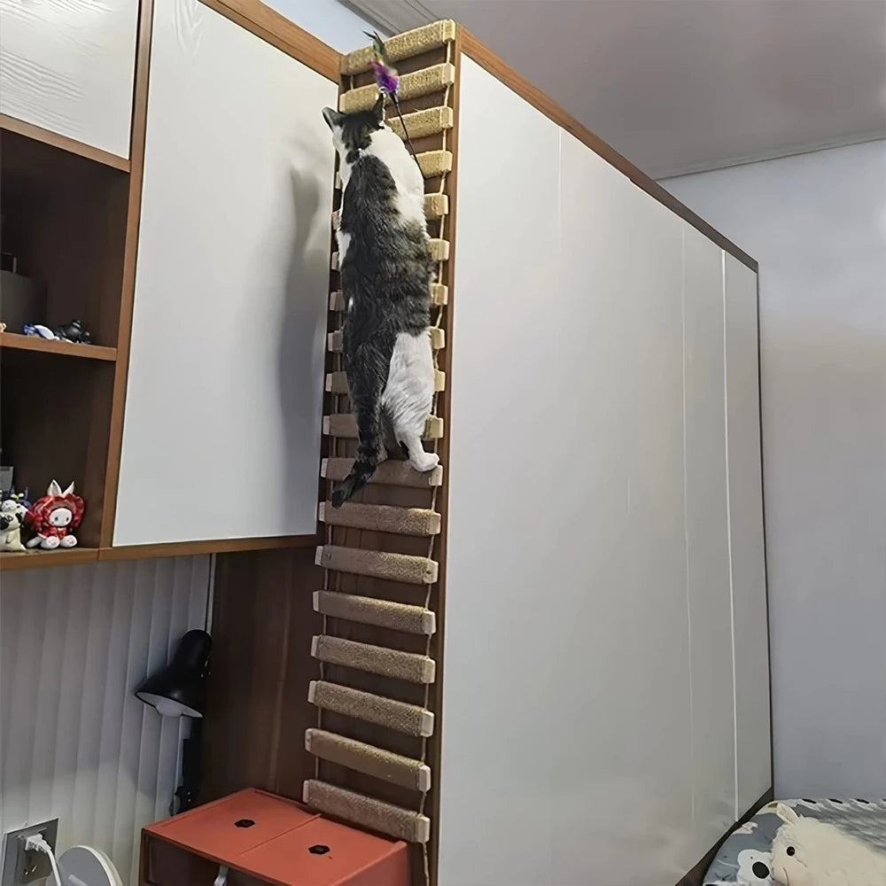 Cat Bridge Rope Ladder - We Have the Goodies 