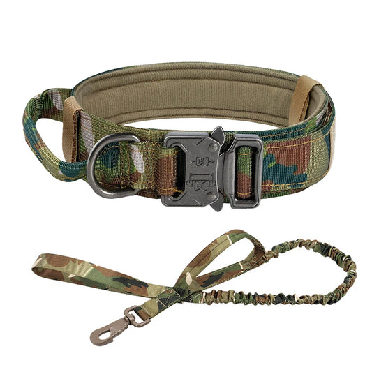 Dog Collar and Leash Set. - We Have the Goodies 