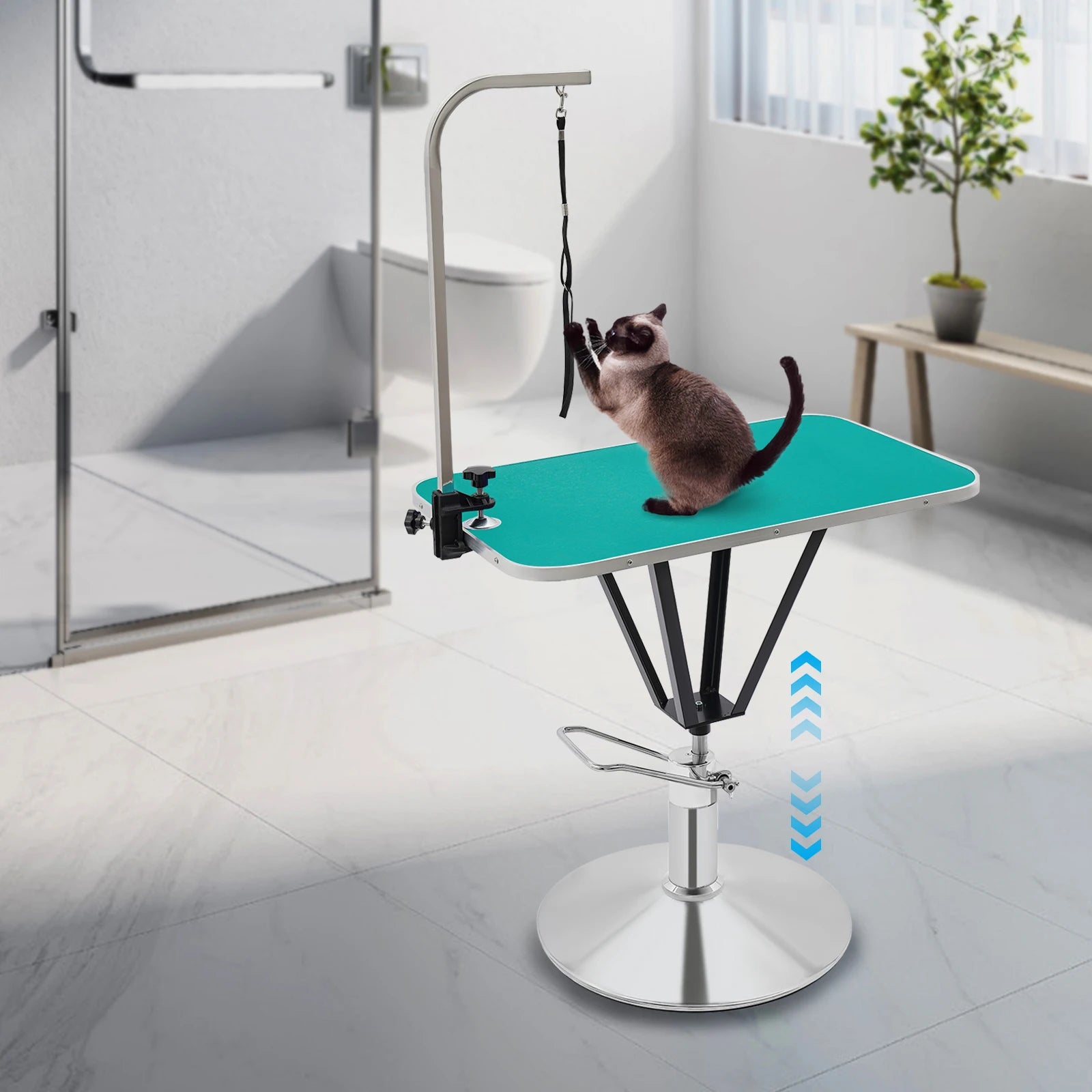 Pet Grooming Table - We Have the Goodies 
