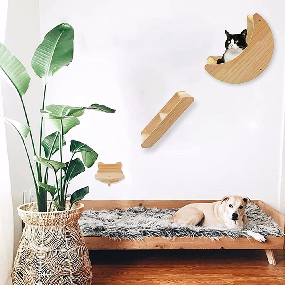 Cat Shelf Climbing wall with Hammock - We Have the Goodies 