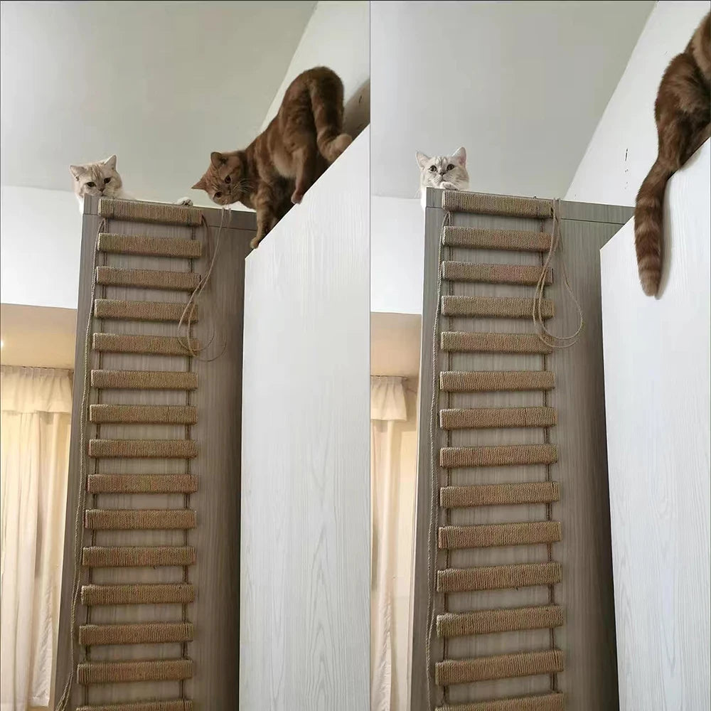 Cat Bridge Rope Ladder - We Have the Goodies 
