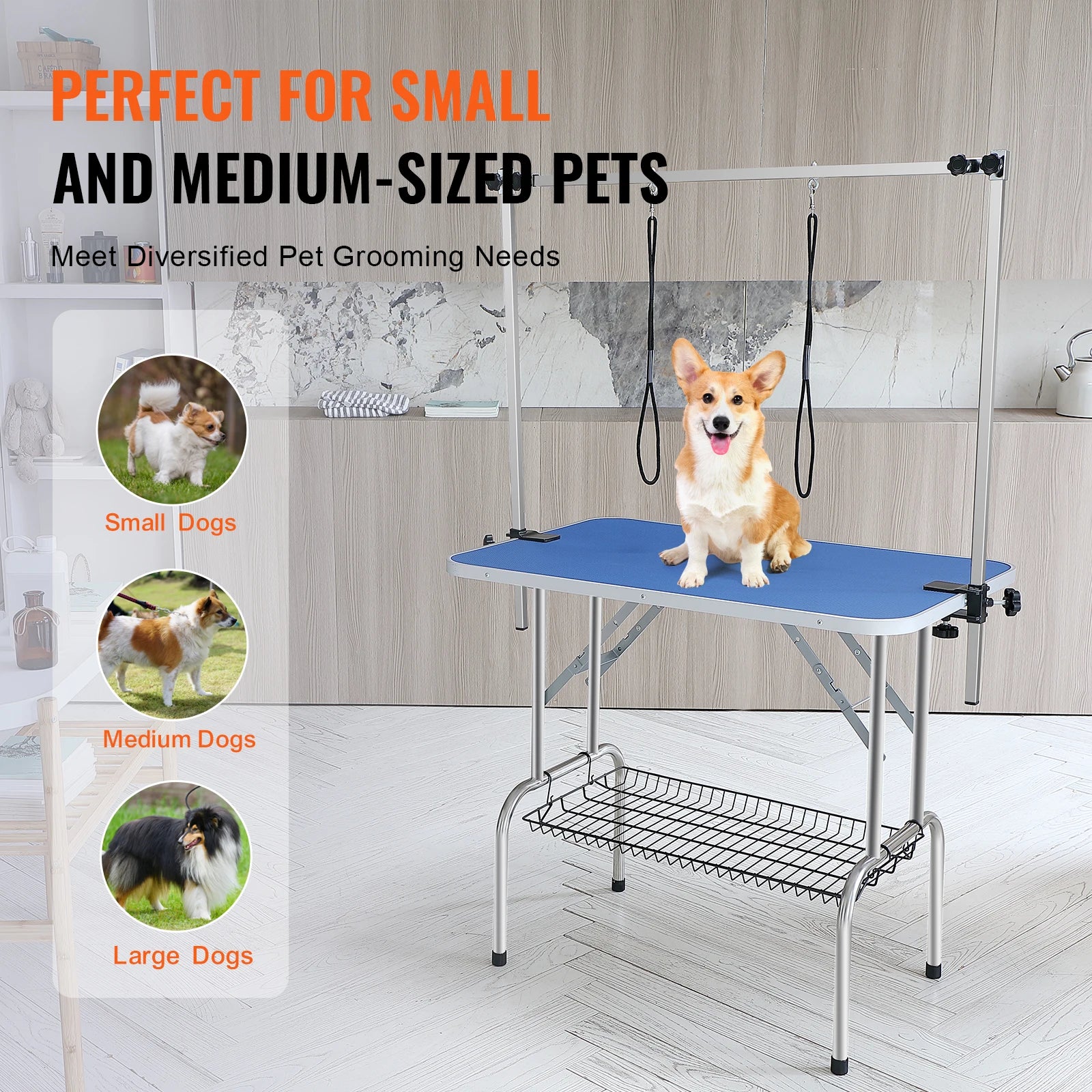 Pet Grooming Table - We Have the Goodies 