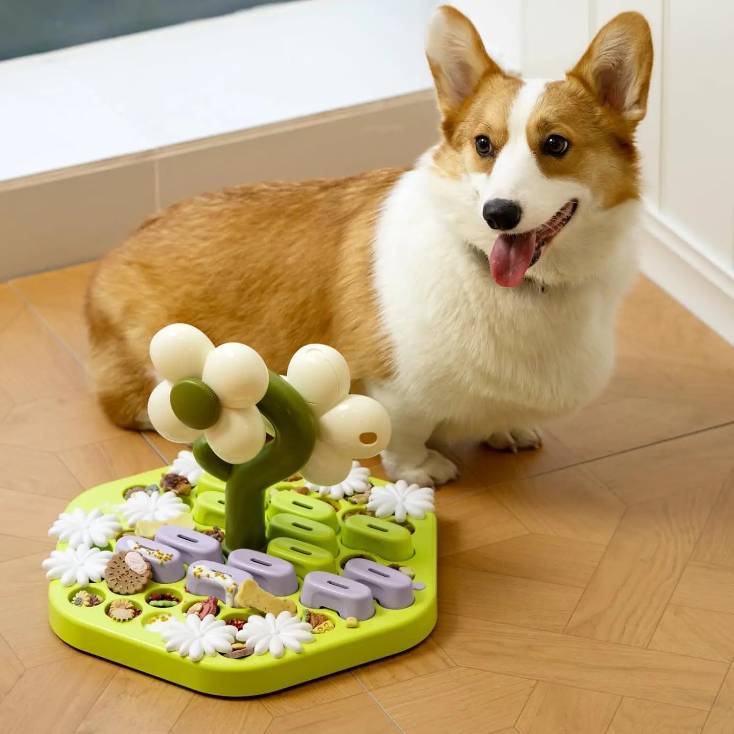 Level 4 Dog Puzzle Toy - We Have the Goodies 