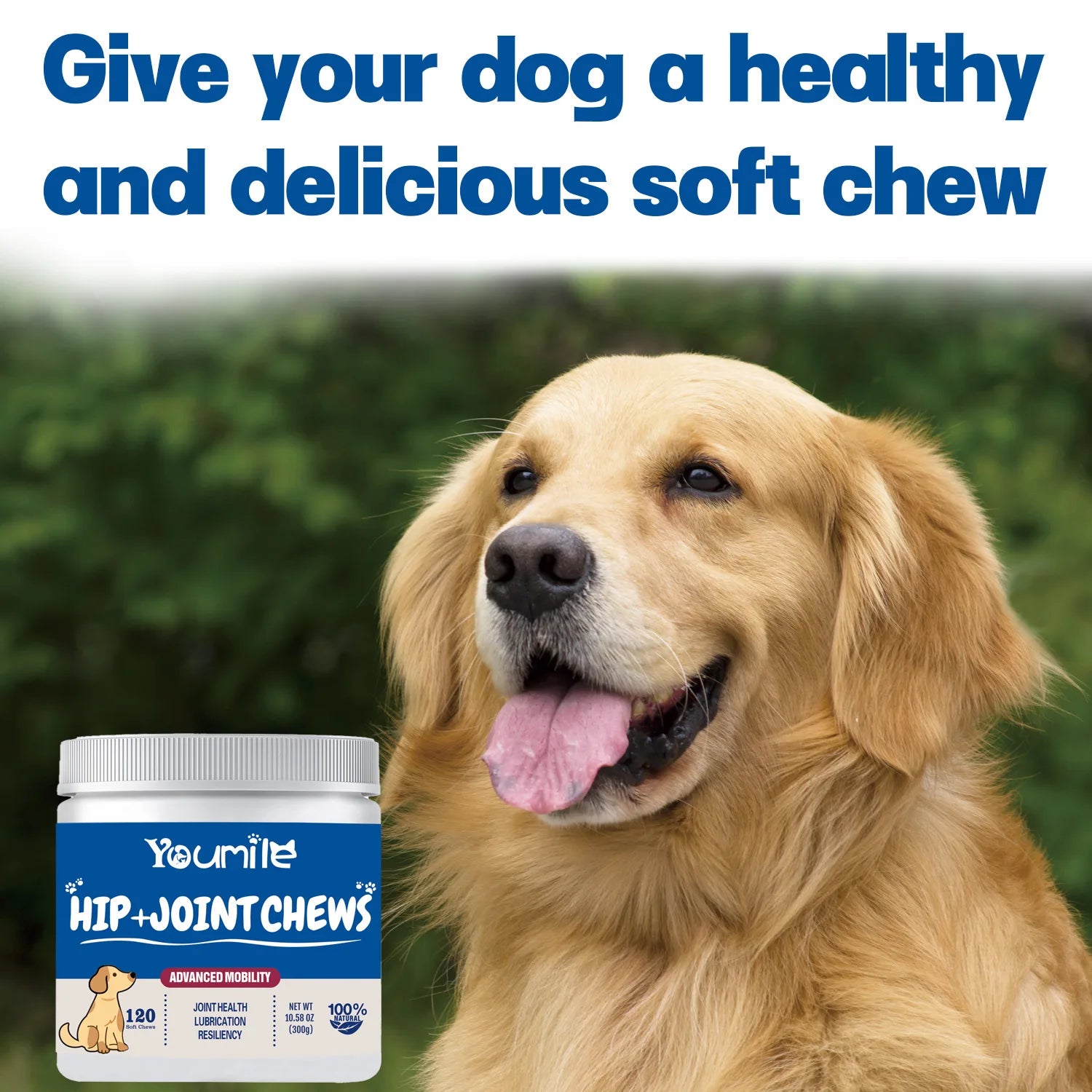 Dog Supplement for Arthritis Pain Relief - We Have the Goodies 
