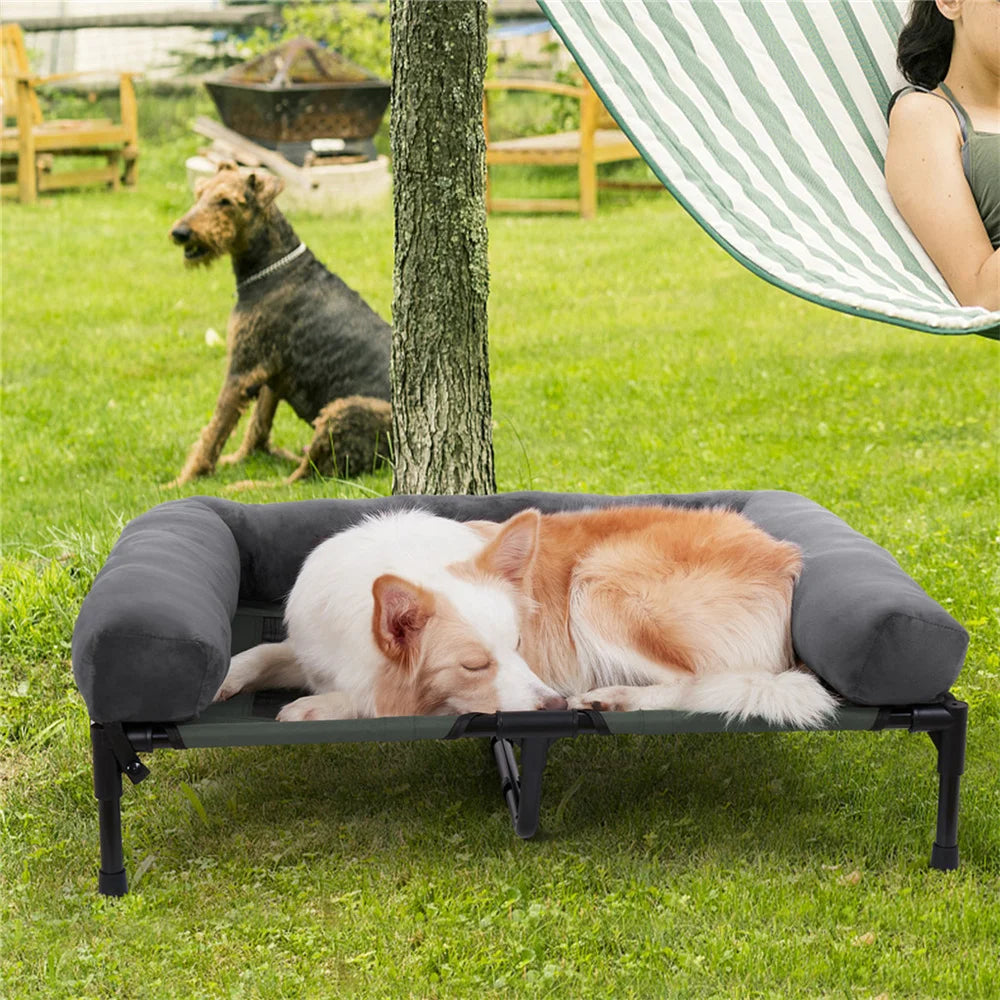 Raised Dog Bed - We Have the Goodies 