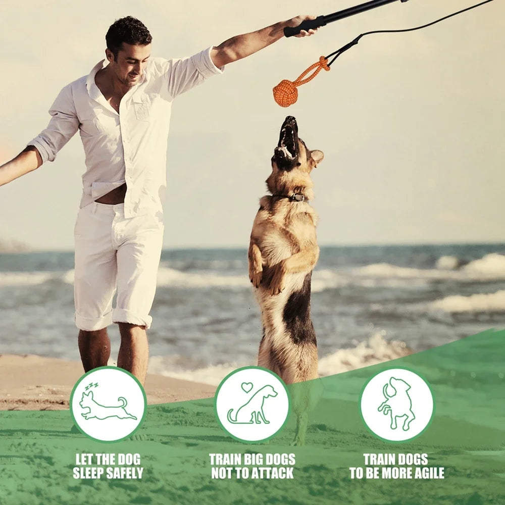 Pole Dog Chew Toy - We Have the Goodies 