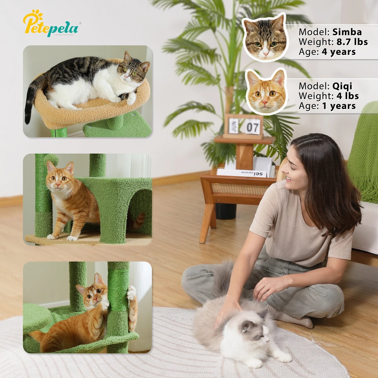 Cat Tree with Big Top Perch - We Have the Goodies 