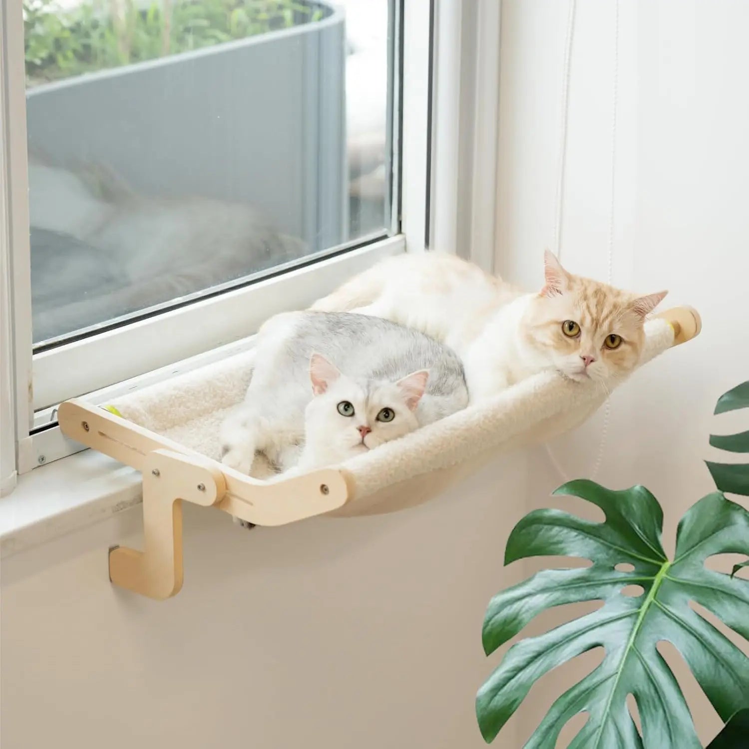 Cat Window Lounge. - We Have the Goodies 