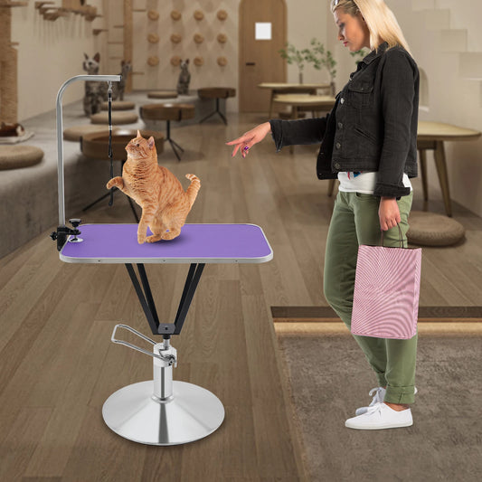 Pet Grooming Table - We Have the Goodies 