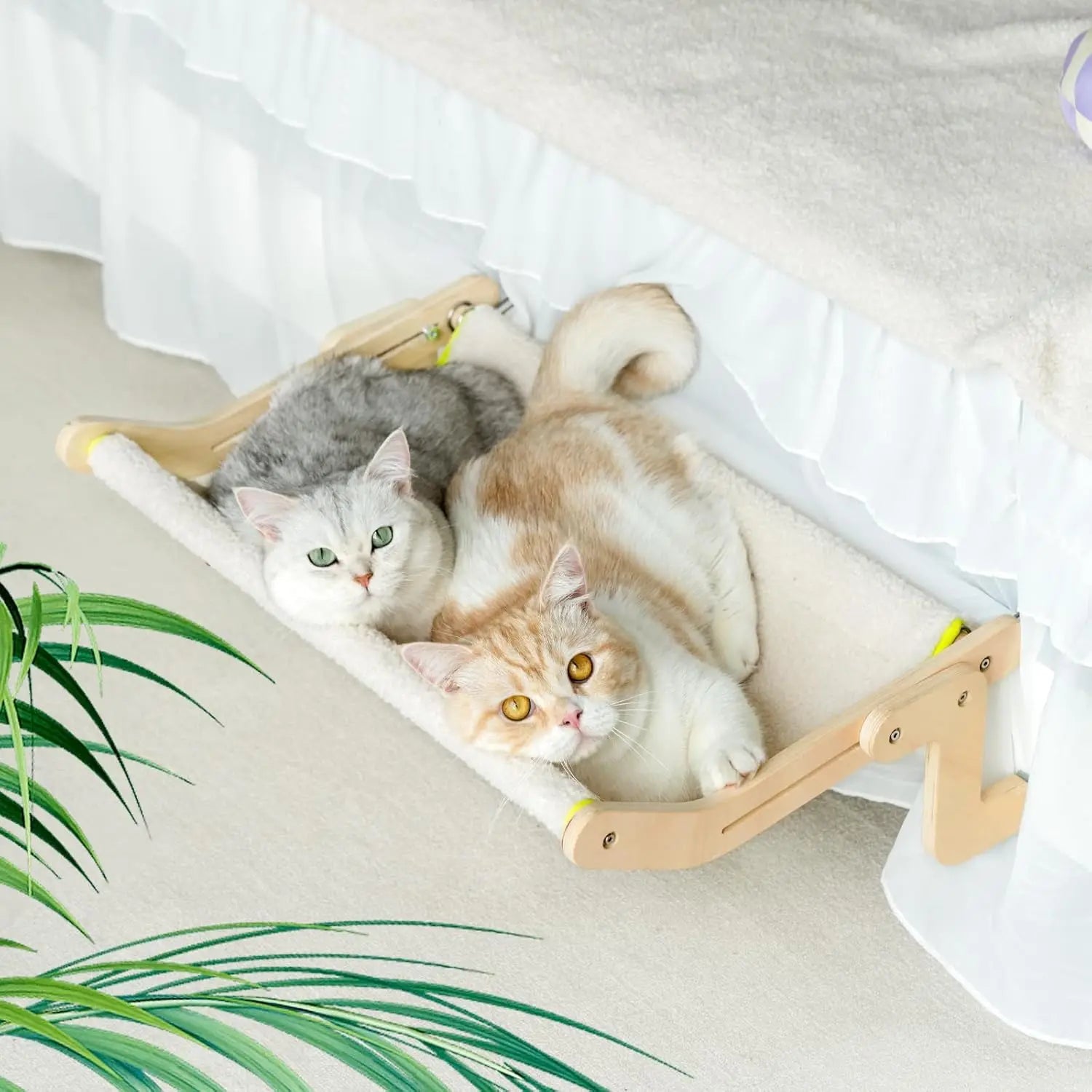 Cat Window Lounge. - We Have the Goodies 